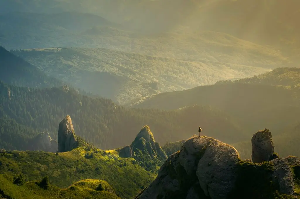 david-marcu-78A265wPiO4-unsplash Natur